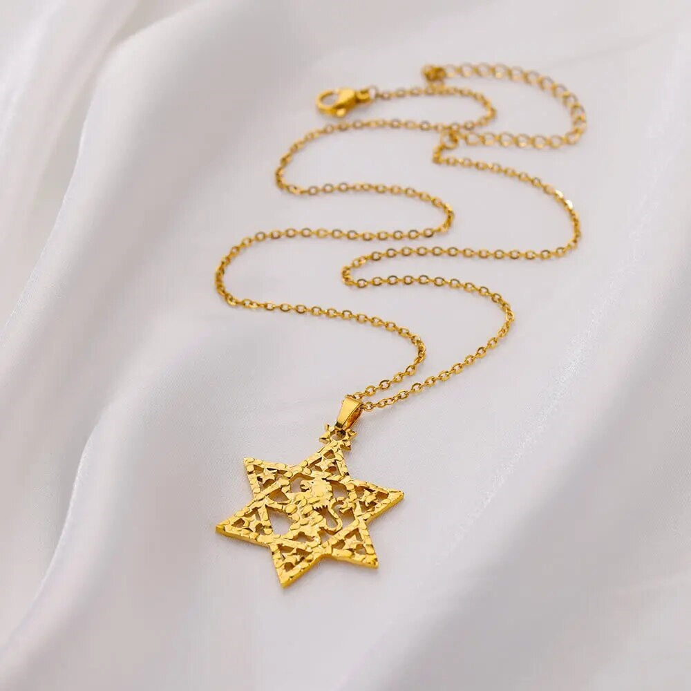 ALDO Jewelry Gold Plated Lion Star of David Amulet Pendant Necklace for Men and Women